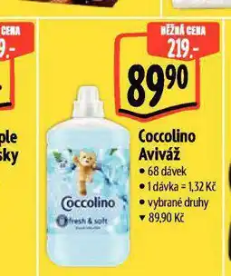 Albert Coccolino aviváž nabídka