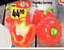 Albert Paprika červená nabídka