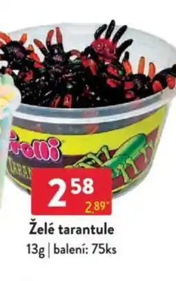 Qanto Želé tarantule nabídka