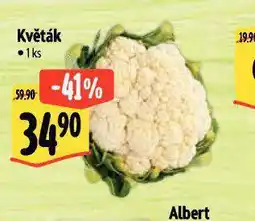 Albert Květák nabídka