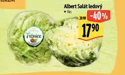 Albert Salát ledový nabídka