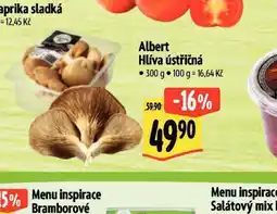 Albert Hlíva ústřičná nabídka