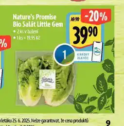 Albert Bio salát little gem nabídka