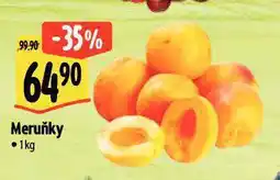 Albert Meruňky nabídka