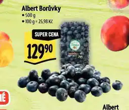 Albert Borůvky nabídka