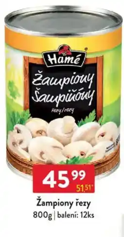 Qanto Hamé Žampiony řezy nabídka