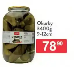 Qanto Okurky nabídka