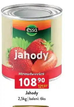Qanto Jahody nabídka