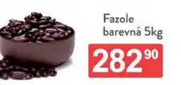 Qanto Fazole barevná nabídka