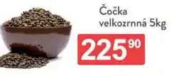 Qanto Čočka velkozrnná nabídka
