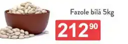Qanto Fazole bílá nabídka