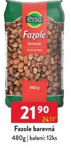 Qanto Essa Fazole barevná nabídka