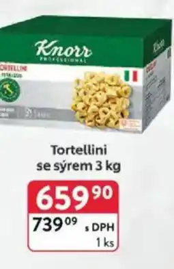 Qanto Knorr Tortellini se sýrem nabídka