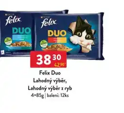 Qanto Felix Duo Lahodný výběr, Lahodný výběr z ryb nabídka