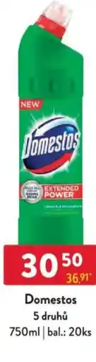Qanto Domestos nabídka