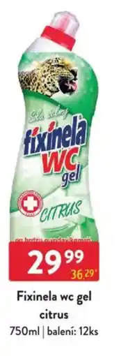 Qanto Fixinela wc gel citrus nabídka