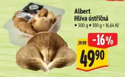 Albert Albert Hlíva ústřičná nabídka