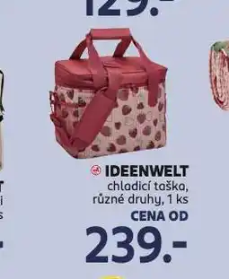 Rossmann Chladicí taška nabídka