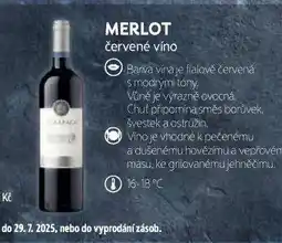Albert Merlot nabídka
