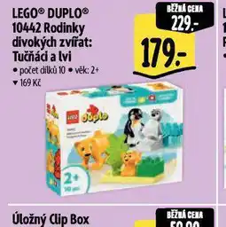 Albert Legu duplo nabídka