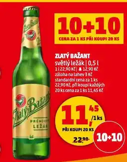 Penny Market Pivo zlatý bažant nabídka
