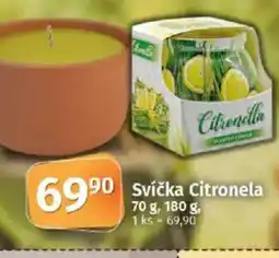 COOP TIP Svíčka Citronela nabídka