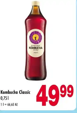 Qanto Kombucha Classic nabídka