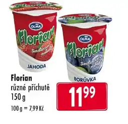 Qanto OLMA Florian nabídka