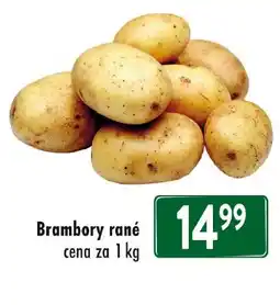 Qanto Brambory rané nabídka
