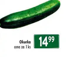Qanto Okurka nabídka