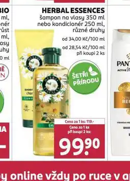 Rossmann Berbal essences šampon, kondicioner nabídka