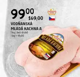 Terno Vodňanská Kachna Mladá kachna bez drobů 1kg nabídka