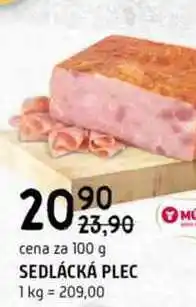 Terno Sedlácká plec 100g nabídka