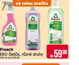 Teta Frosch eko čističe nabídka