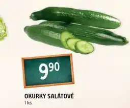 Terno Okurky salátové 1ks nabídka
