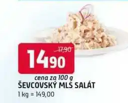 Terno Ševcovský mls salát 100g nabídka