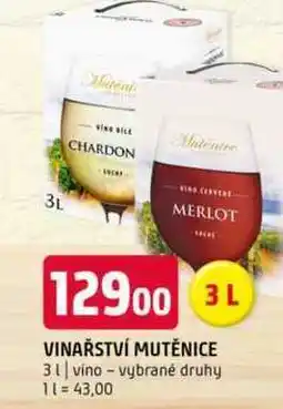 Terno Vinařství mutěnice 3l vino vybrané druhy nabídka