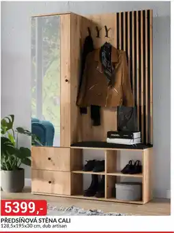 Baumax PŘEDSÍŇOVÁ STĚNA CALI , dub artisan nabídka