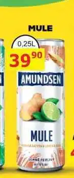 BENE Nápoje MULE 0,25L míchaný drink nabídka