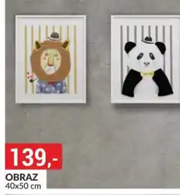 Baumax Obraz nabídka