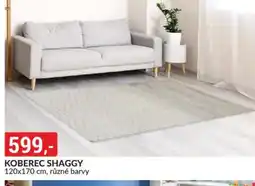 Baumax Koberec shaggy nabídka