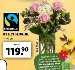 Lidl KYTICE FLORINE nabídka
