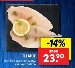 Lidl Tilápie nabídka