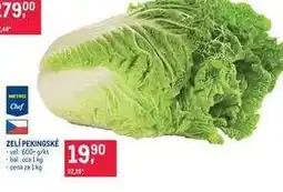 Makro Zelí pekingské nabídka