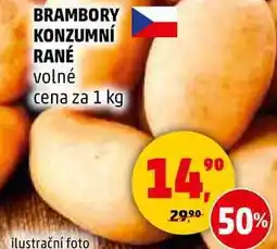 Penny Market BRAMBORY KONZUMNÍ RANÉ volné, 1 kg nabídka