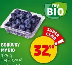 Penny Market BORŮVKY MY BIO, 125 g nabídka