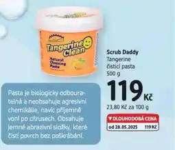 dm drogerie Scrub daddy čistící pasta nabídka