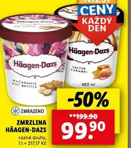 Lidl Häagen dazs zmrzlina nabídka