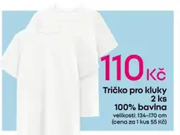 Pepco Tričko pro kluky 2 ks 100% bavlna nabídka