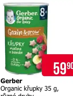 Teta Gerber nabídka
